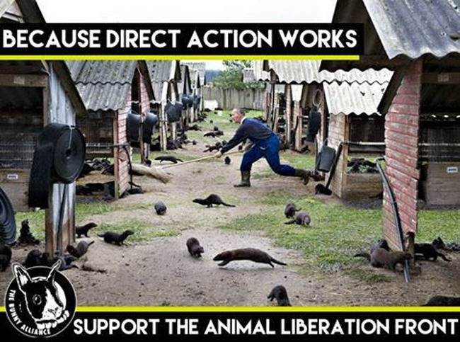 animal liberation front action