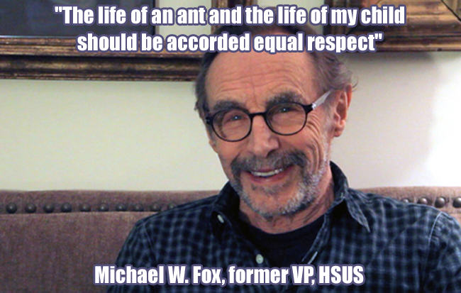 Michael Fox, Michael W. Fox, HSUS, ant, animal rights activists