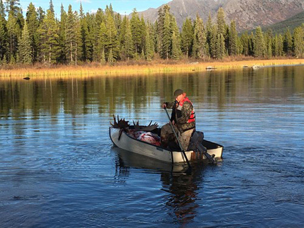 Moose fishing is not a regular trapline event