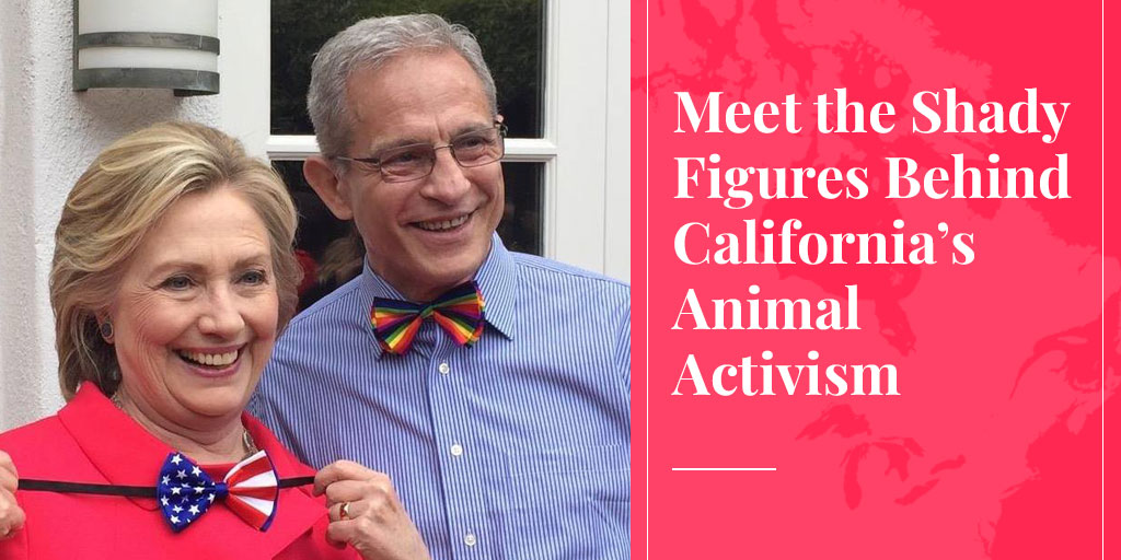 Meet the Shady Figures Behind California’s Animal Activism