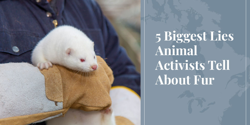 5 Biggest Lies Animal Activists Tell About Fur