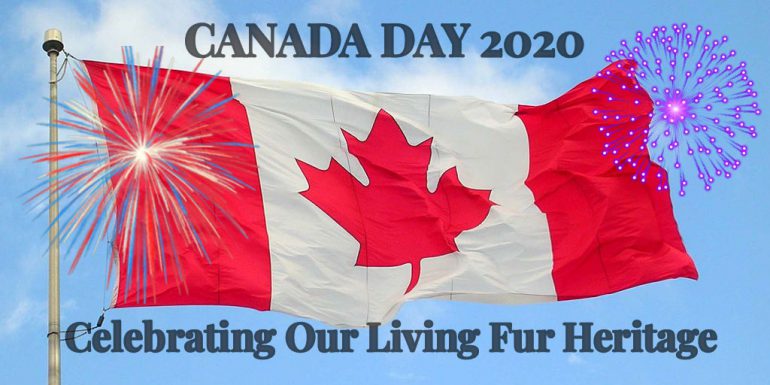 Canada Day 2020: Celebrating Our Living Fur Heritage