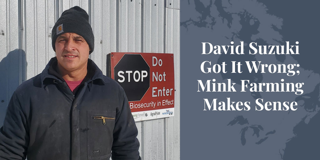 David Suzuki Got It Wrong; Mink Farming Makes Sense